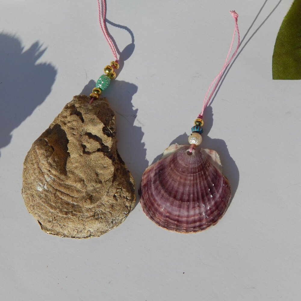 Set of 2 White Poodle - Oyster & Scallop Shell - Decoupage Ornaments - Picture 3 of 3
